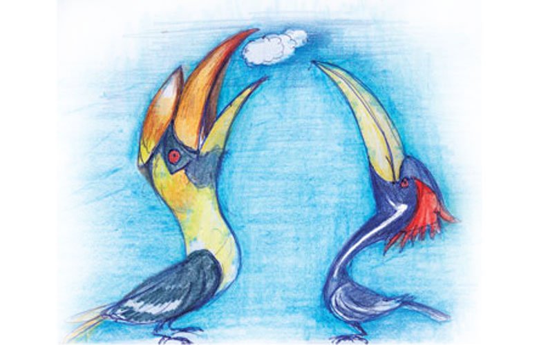 Hornbill Woodpecker and Me