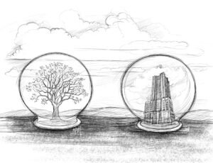 Between Nature and the Built World